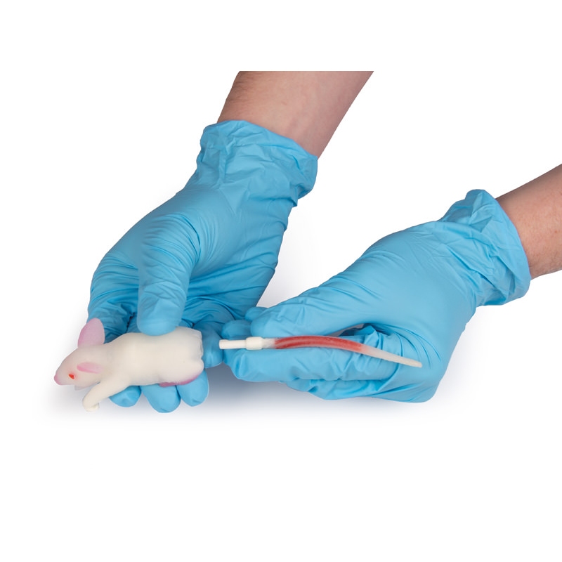 Simulacijski model miške