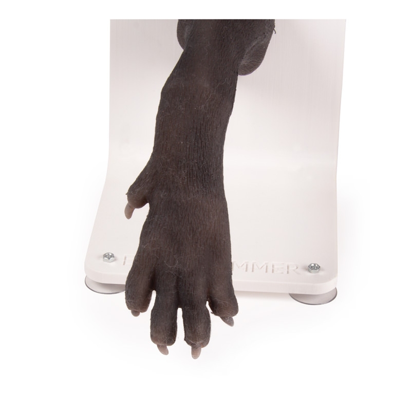 Bandažni trenažer pasje tačke