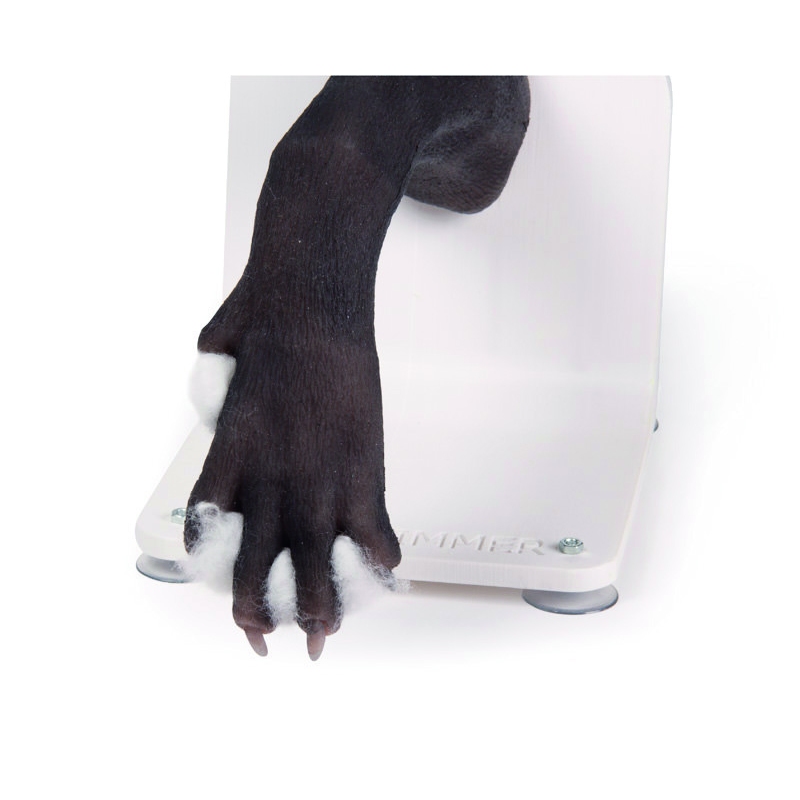 Bandažni trenažer pasje tačke