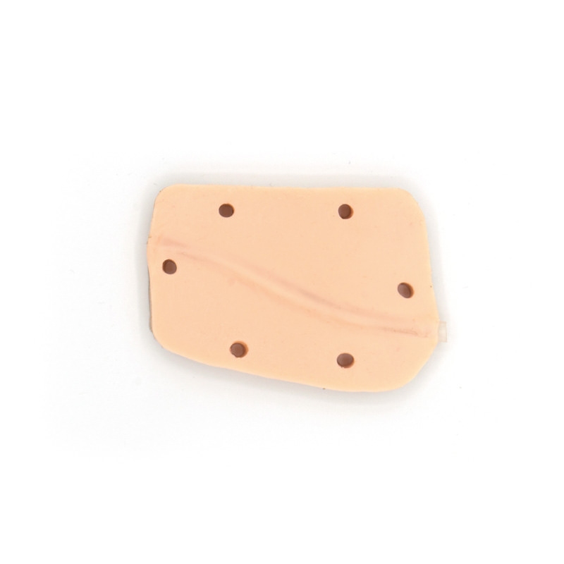 Ginekološko usposabljanje psa Bella