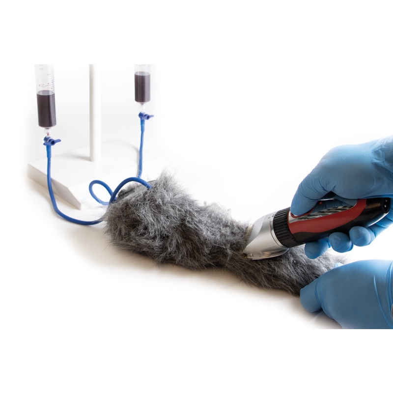 IV. Vbrizgavanje noge psov