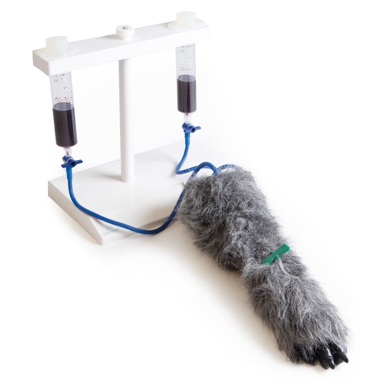 IV. Vbrizgavanje noge psov