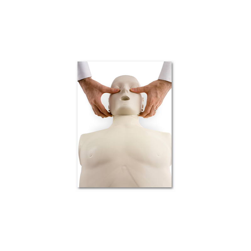 Komplet 4 TPO lutk z gibljivo brado in monitorjem