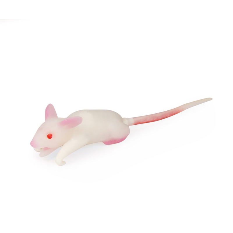 Simulacijski model miške