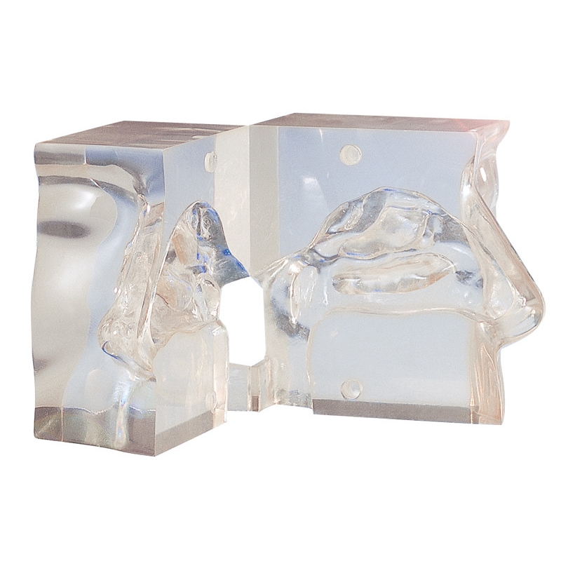 Transparentni model nosa