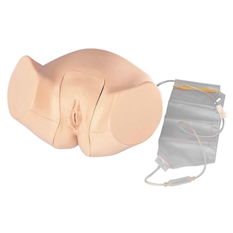 Model ženske kateterizacije