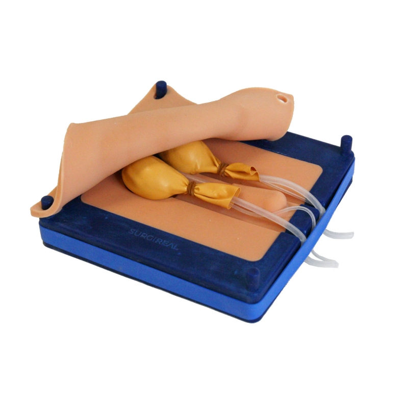 Simulator kastracije psov