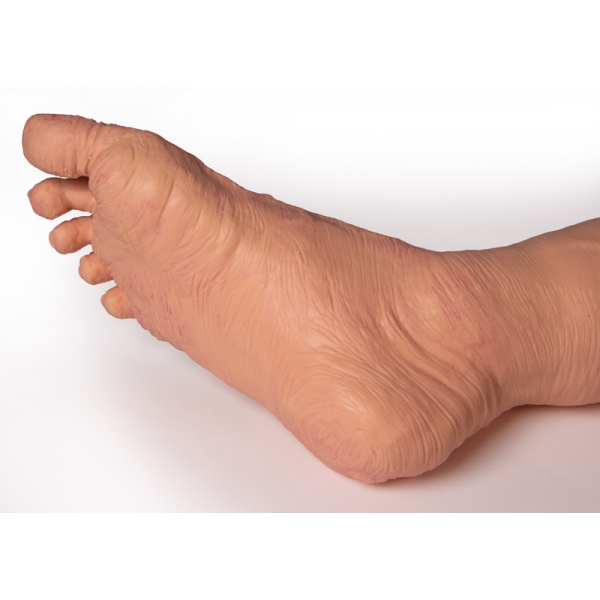 TERI Androginski vaditelj veščin za geriatrične paciente