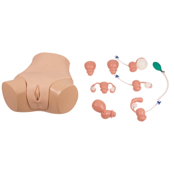 Simulator ginekološkega pregleda