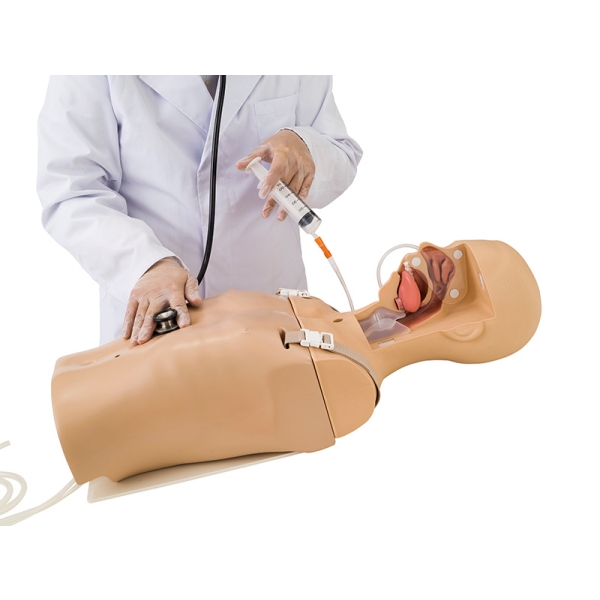 Simulator sesanja/krmljenja po ceveh