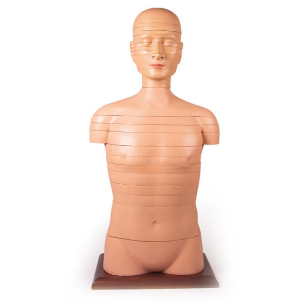 Torzo diska, naravna velikost