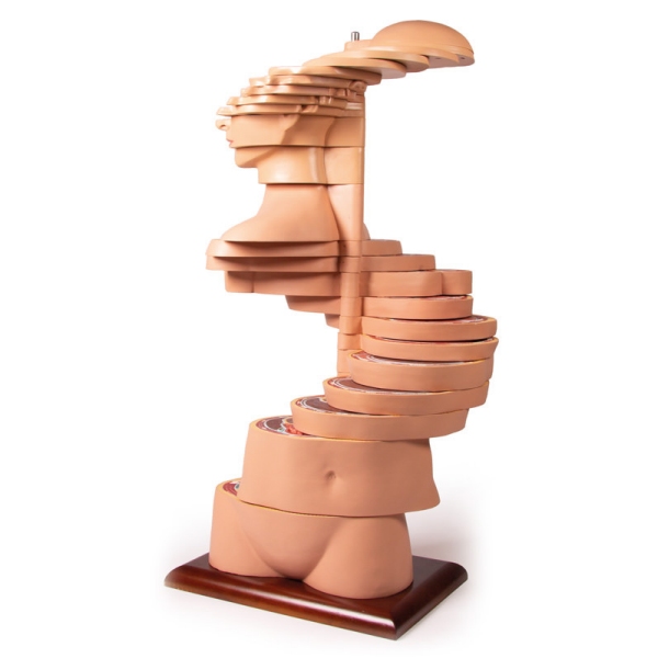 Torzo diska, naravna velikost