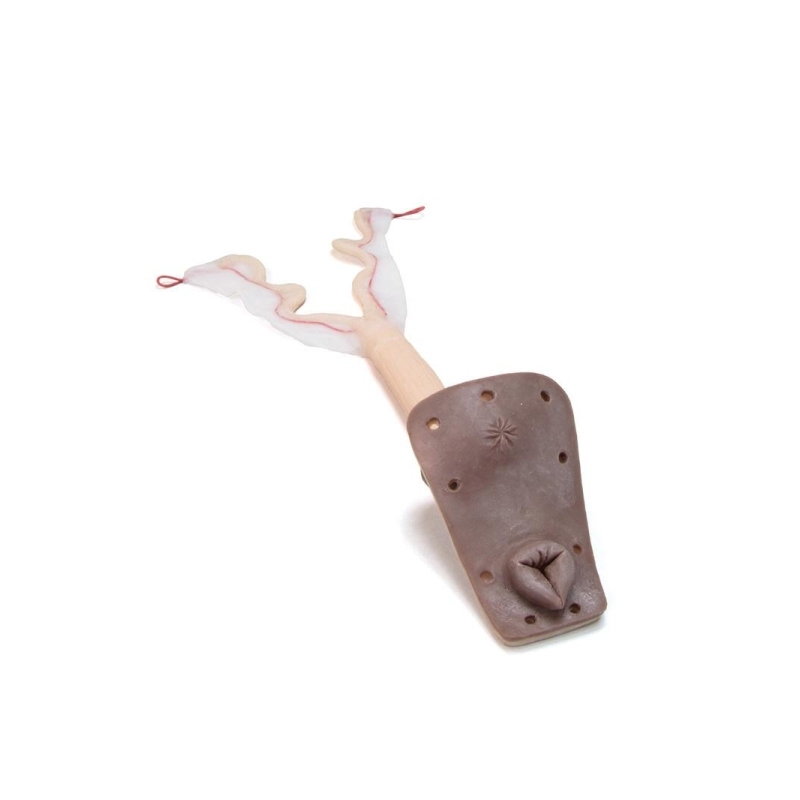 Maternica za urjenje modela za psice