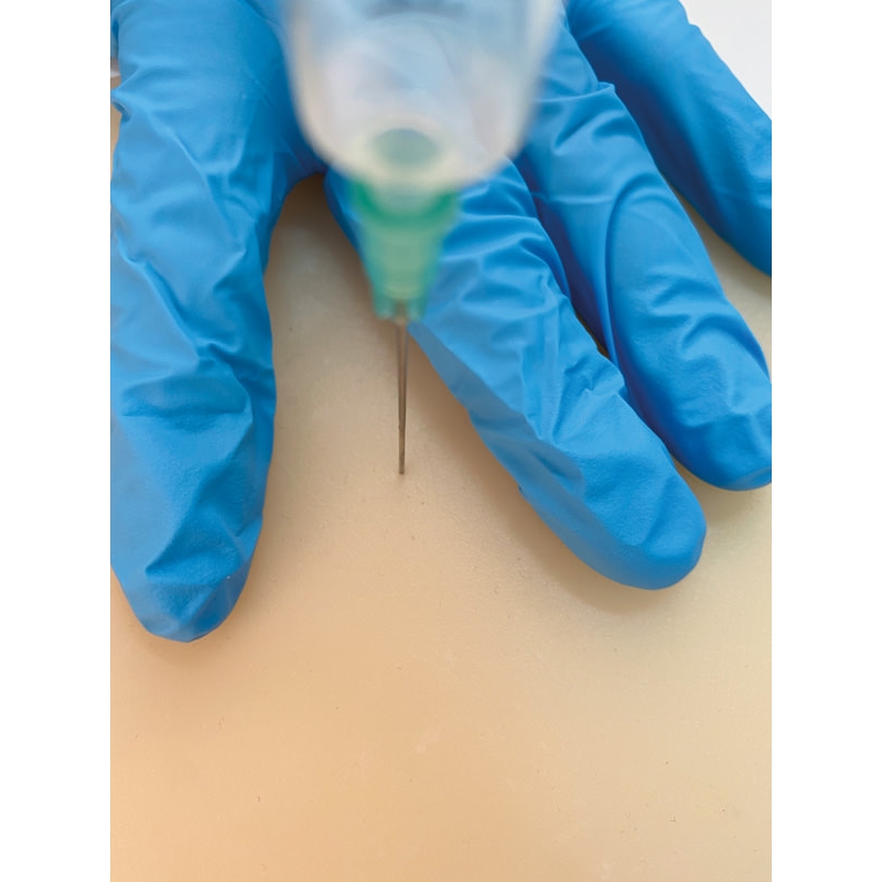 IM punkcija trener za male živali