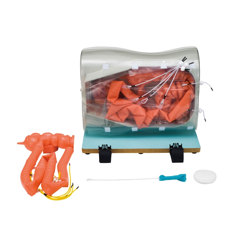 Izbirni podaljšek tankega črevesa