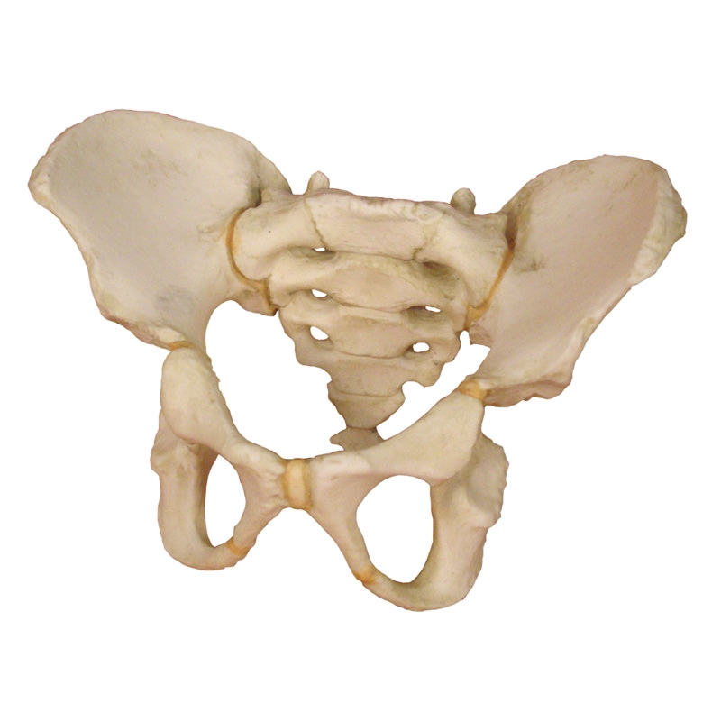 Medenica petletnega otroka