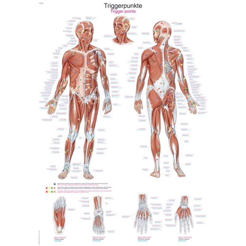 Diagram Trigger točke, 70x100cm (Angleški)