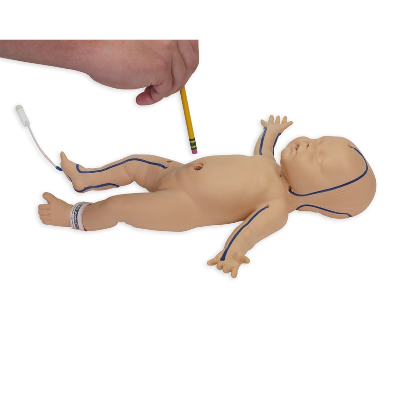 Nita Newborn - Simulator for Venous Vessel Access