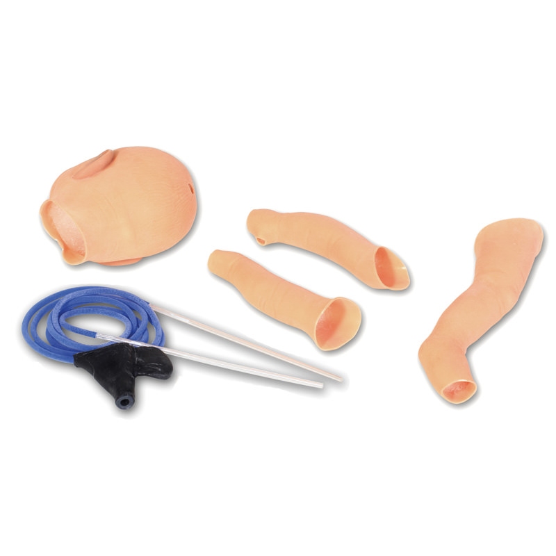 Nita Newborn - Simulator for Venous Vessel Access
