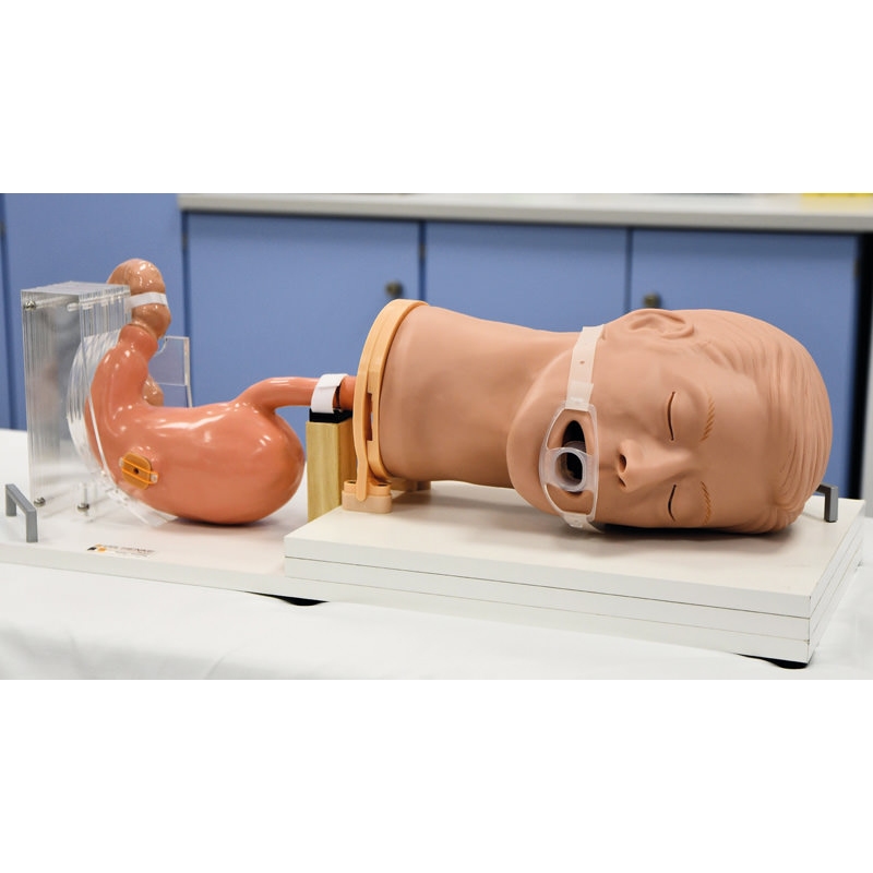 Gastroskopija-Simulator Gastro (EGD)