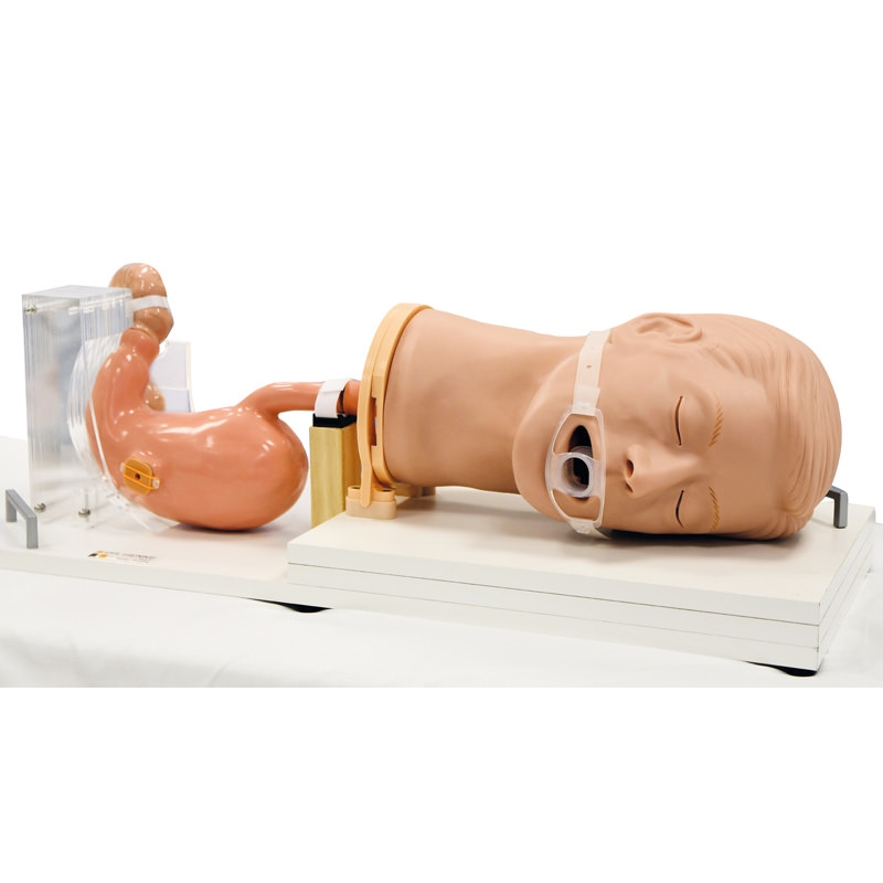 Gastroskopija-Simulator Gastro (EGD)