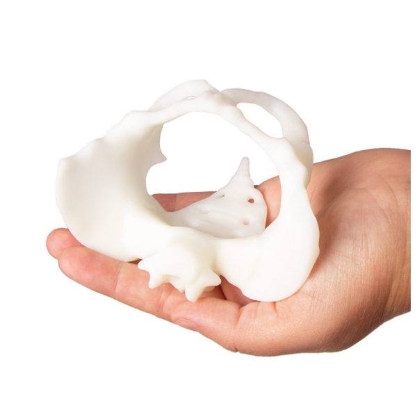 Mini medenica s porodno lutko