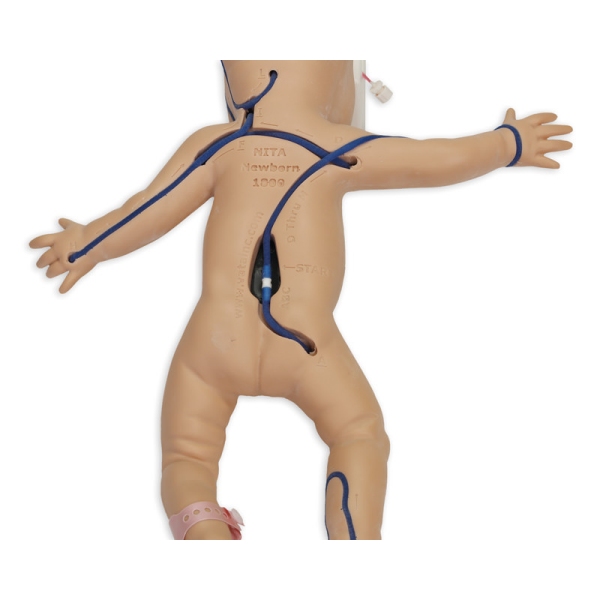 Nita Newborn - Simulator for Venous Vessel Access