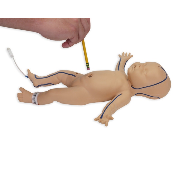 Nita Newborn - Simulator for Venous Vessel Access