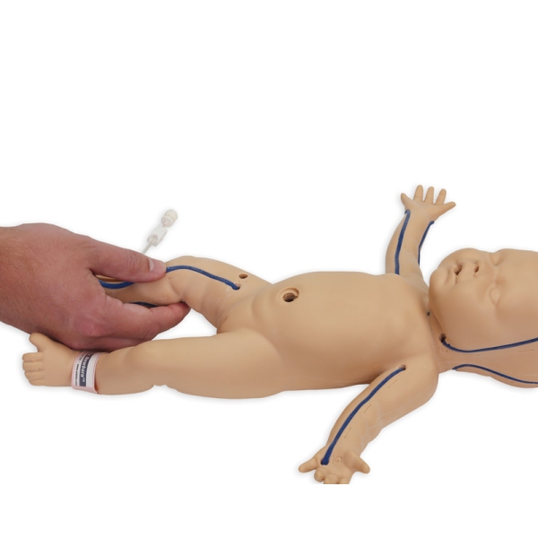 Nita Newborn - Simulator for Venous Vessel Access
