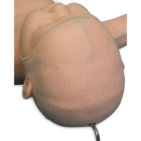 Nita Newborn - Simulator for Venous Vessel Access