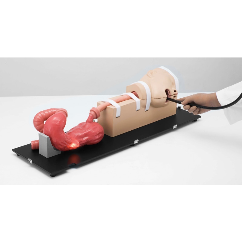 Simulator EGD (ezofagoGastroDuodenoskopija)