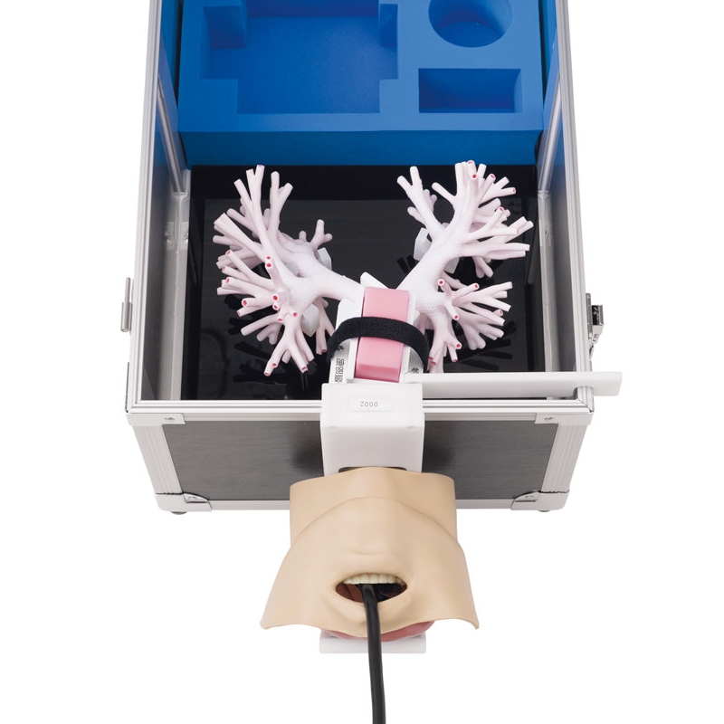 Simulator ultrazvočne bronhoskopije